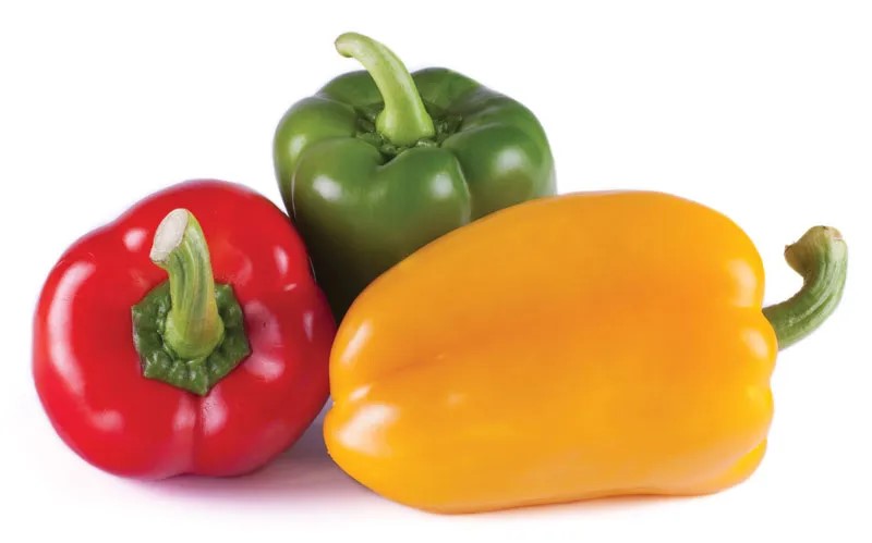 Capsicum (Bell Pepper)