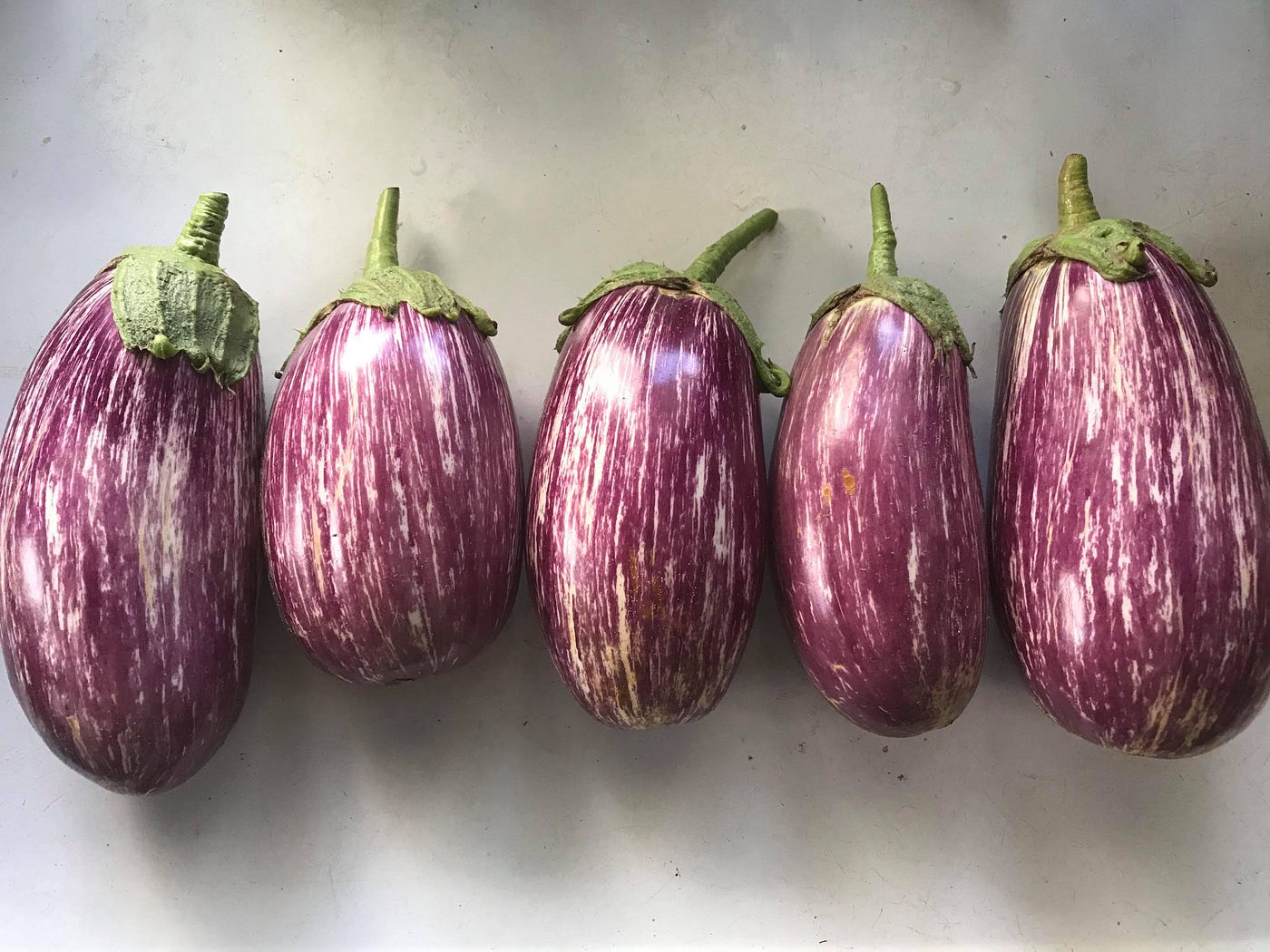 Brinjal (Eggplant)