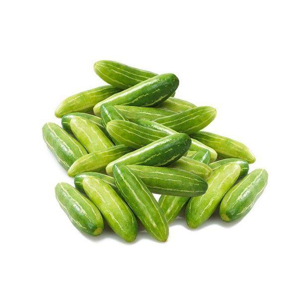Ivy Gourd