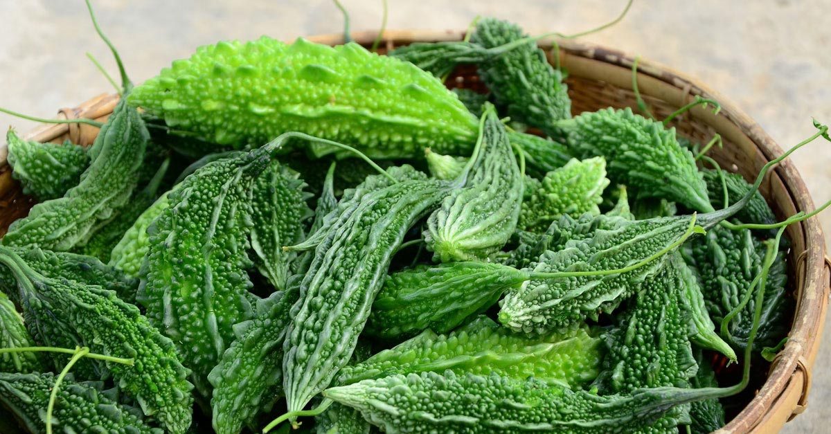 Bitter Gourd