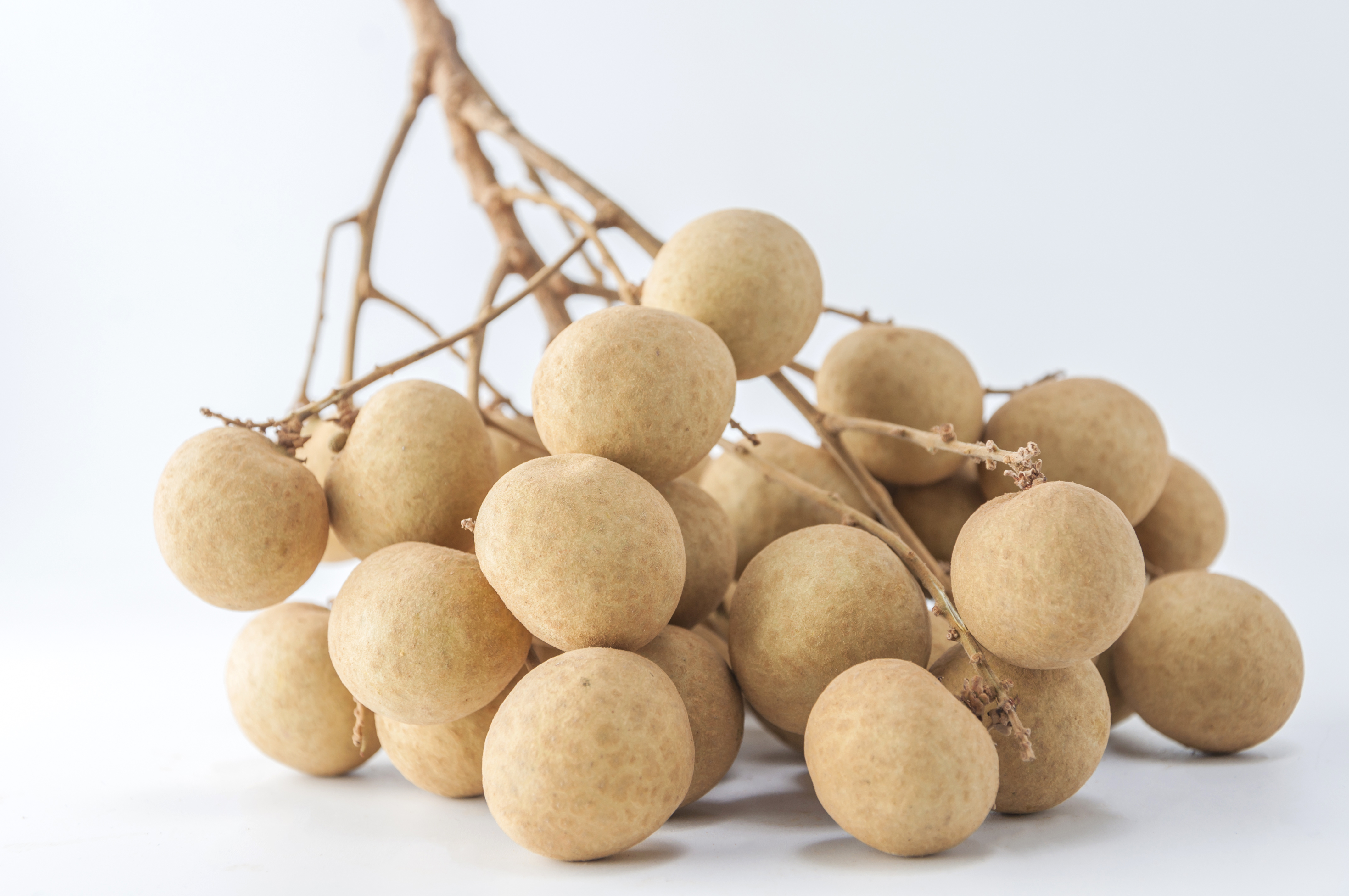Sapota – Tirunelveli Local Farmed